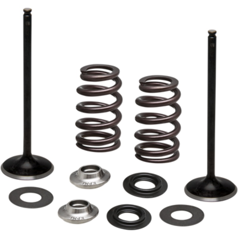 KIBBLEWHITE Spring Kit – Intake Only 96-96540