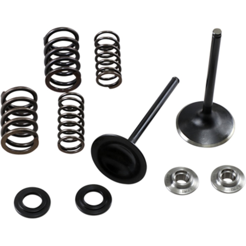KIBBLEWHITE Intake Spring Kit 30-33250