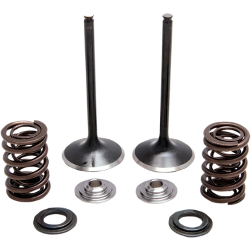 KIBBLEWHITE Intake Spring Kit 30-33200