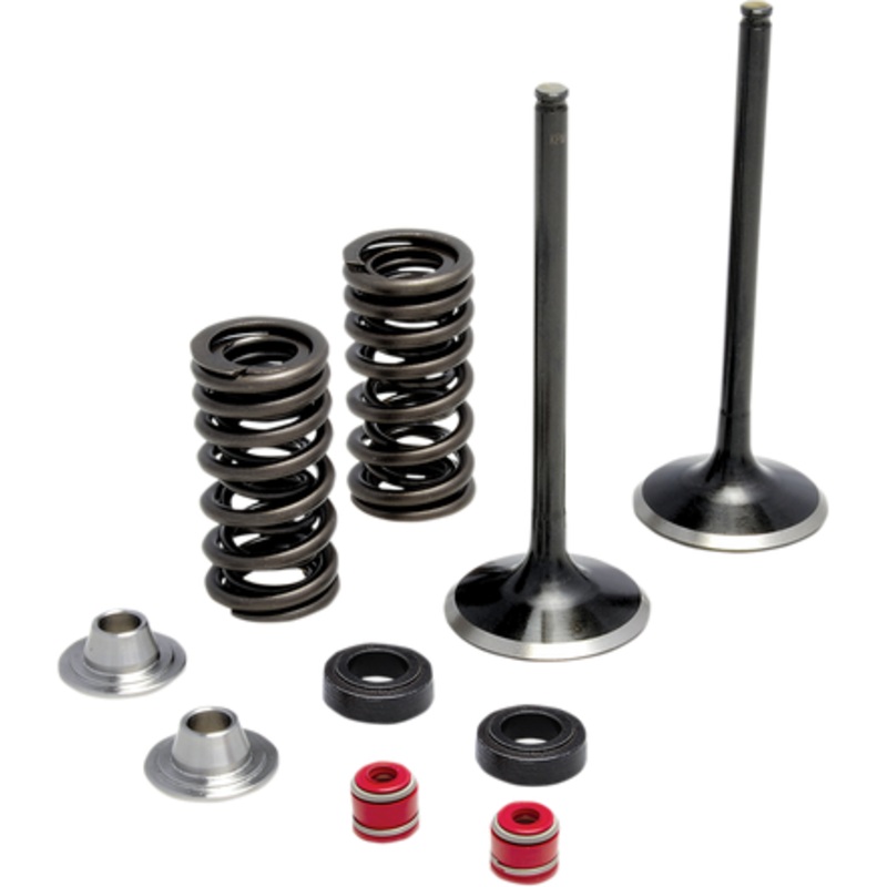 KIBBLEWHITE Spring Kit – Stainless Steel 30-32440