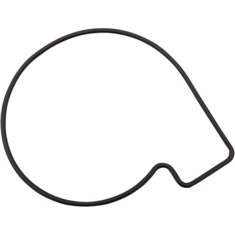 JAMES GASKET Water Pump Body Seal ST-26600017